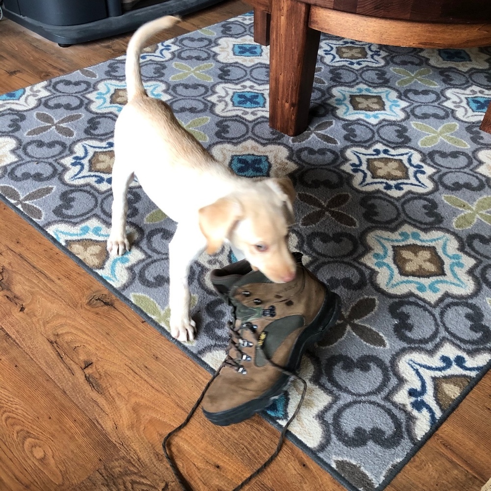 Meet your Posher, Christopher